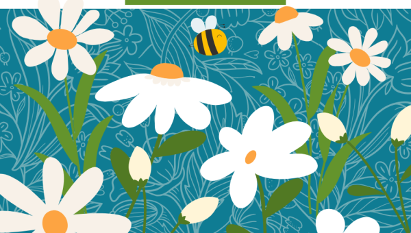 Concours balcons et maisons fleuris